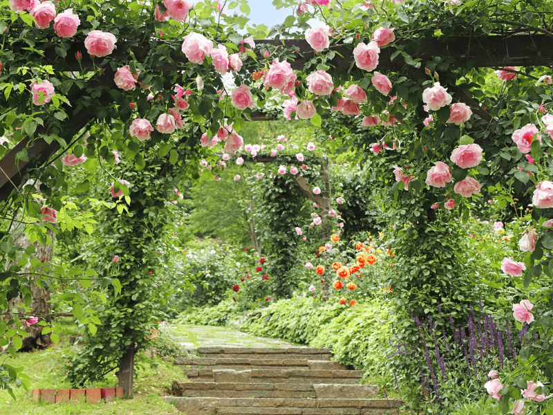 カラーセラピー